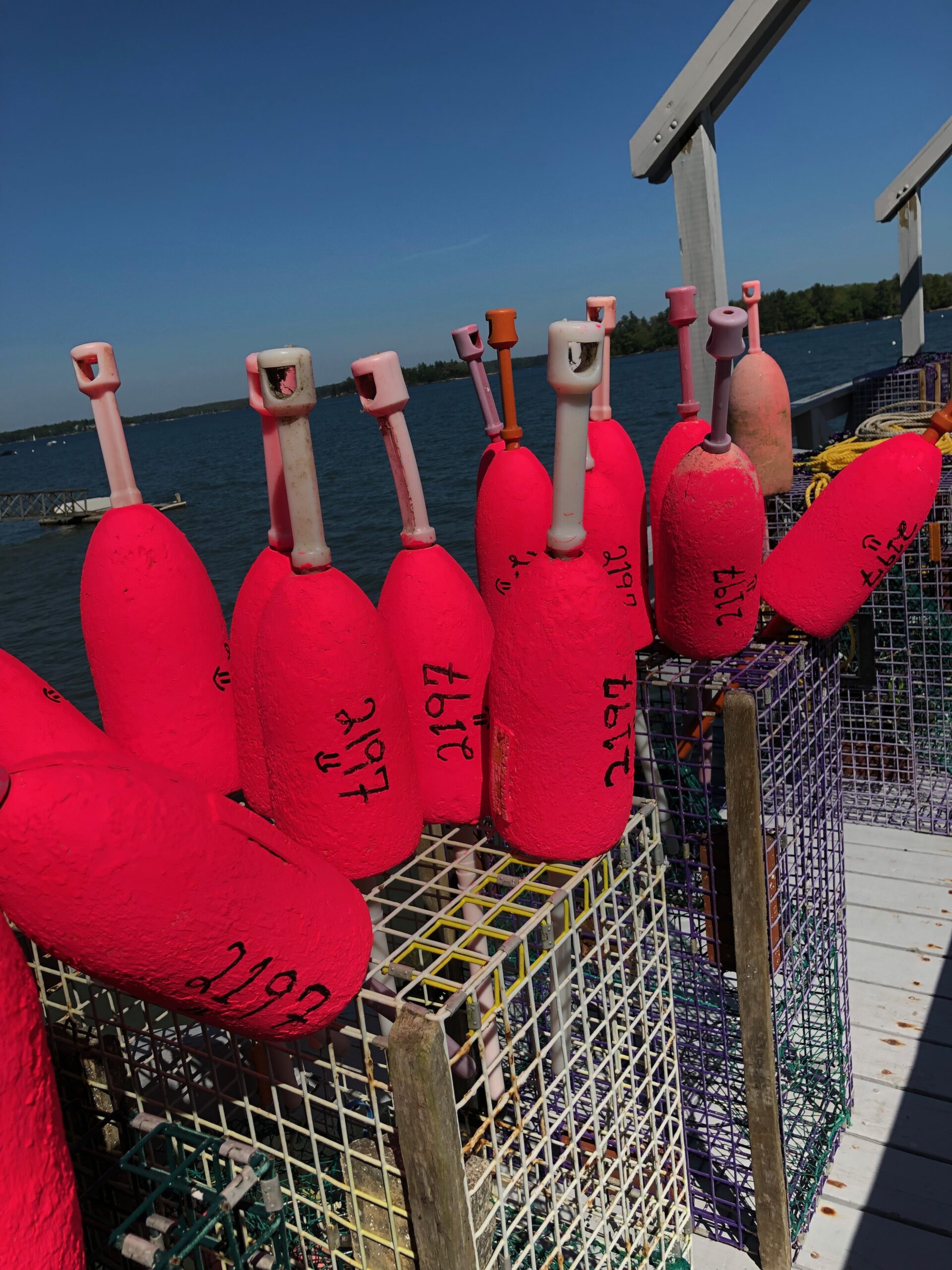 Lobster Buoys On Top Of Lobster Cage Traps